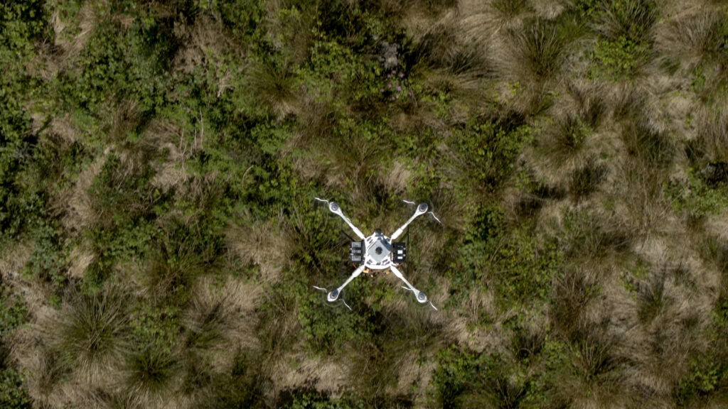 how to get a drone out of a tree