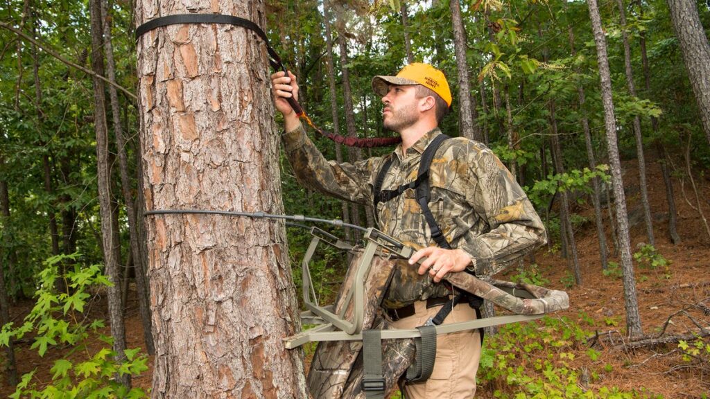 when do most accidents involving tree stands occur?
