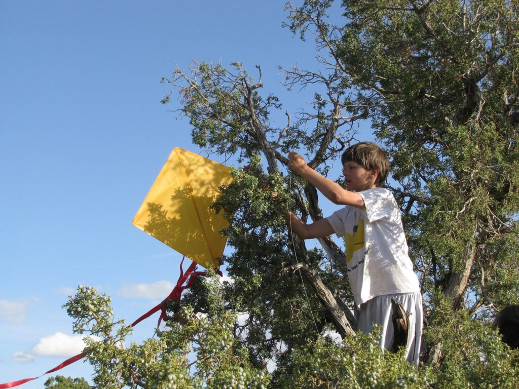 how to get a kite out of a tree