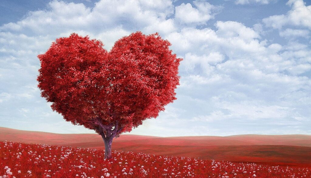 what tree symbolizes love