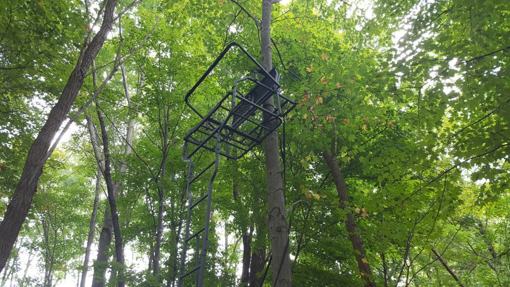 how to put up a tree stand