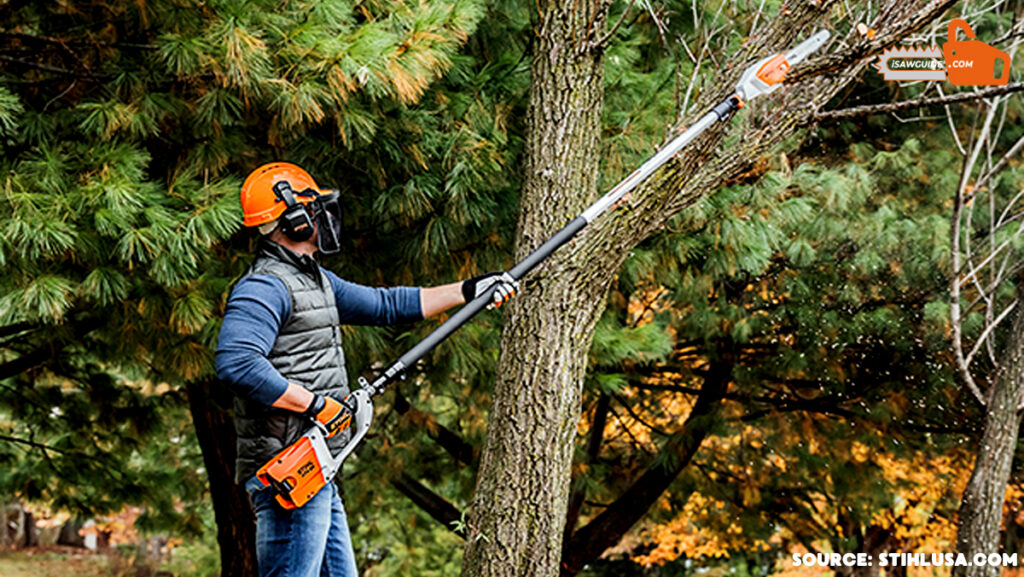 how to cut tree limbs that are too high to reach