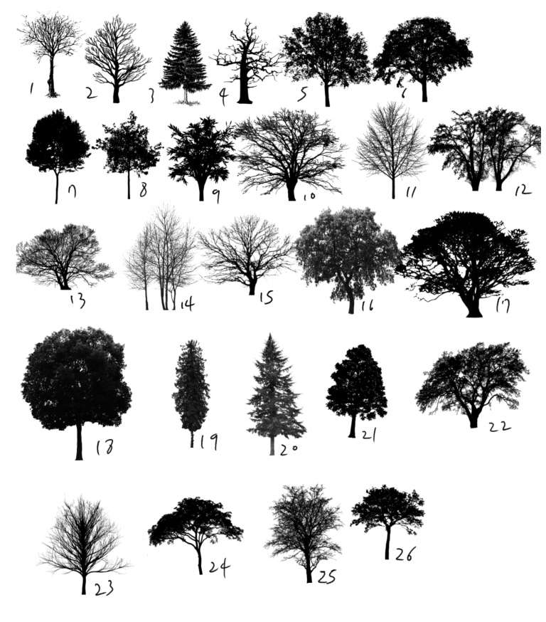 how to make a tree brush in procreate