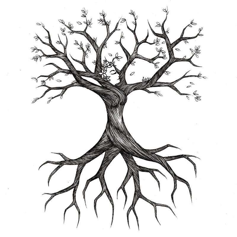how to draw a tree with roots