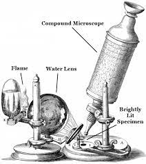 which microscope did robert hooke use to study tree bark