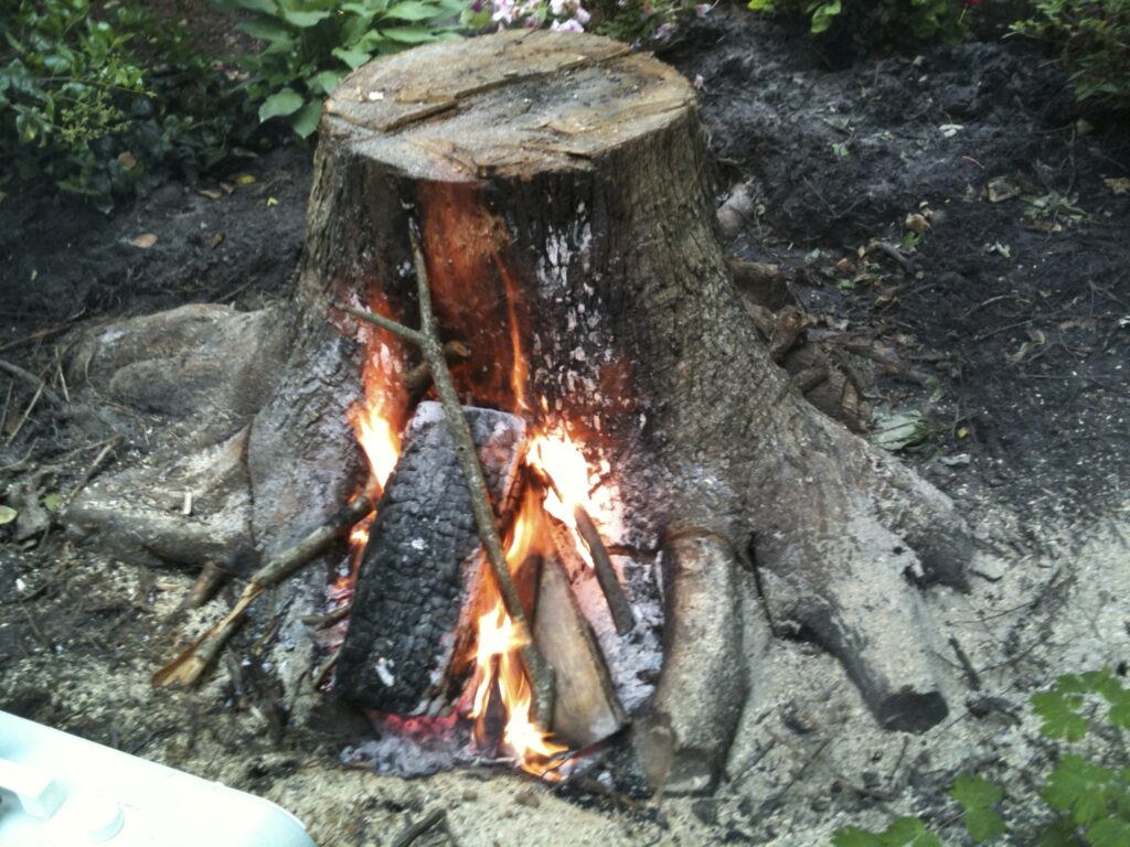 how to get rid of a tree stump with charcoal