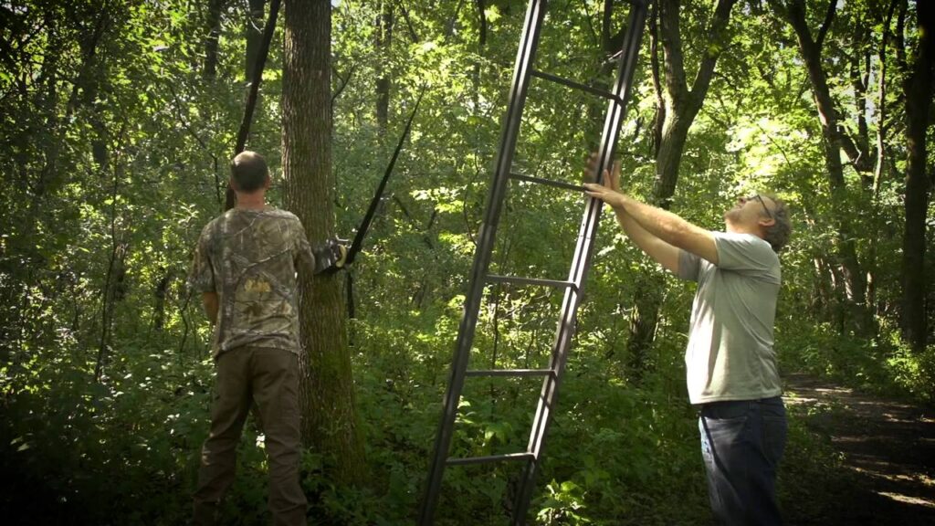 how to put up a tree stand